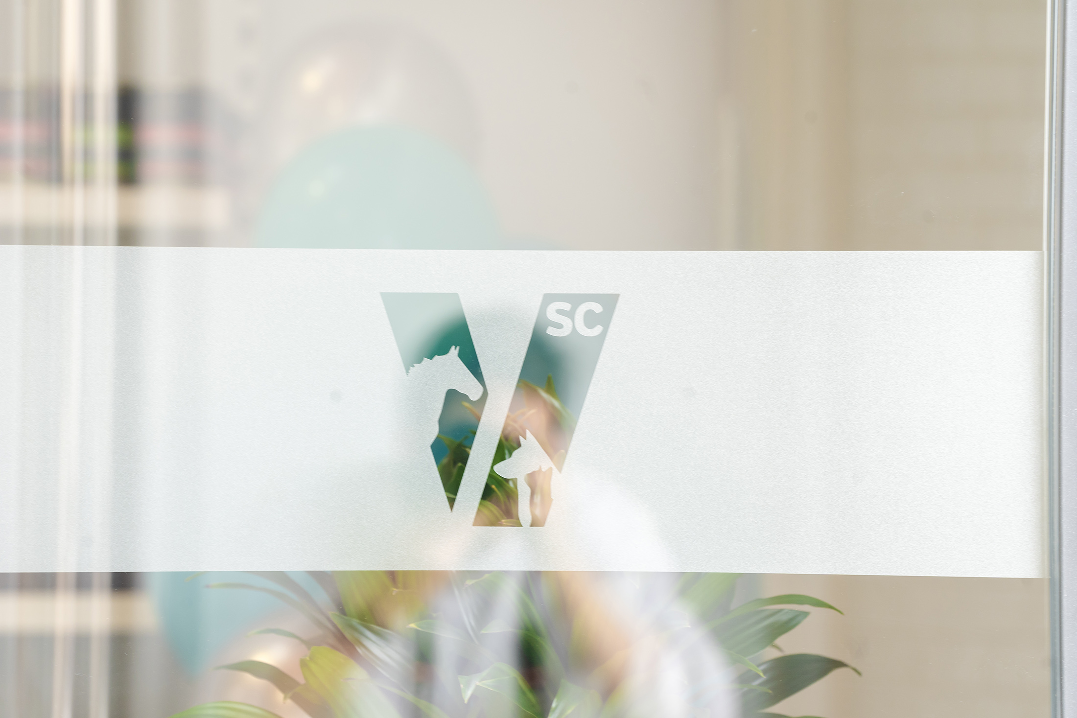 Detalle del logotipo de la clínica veterinaria impreso al ácido sobre cristal